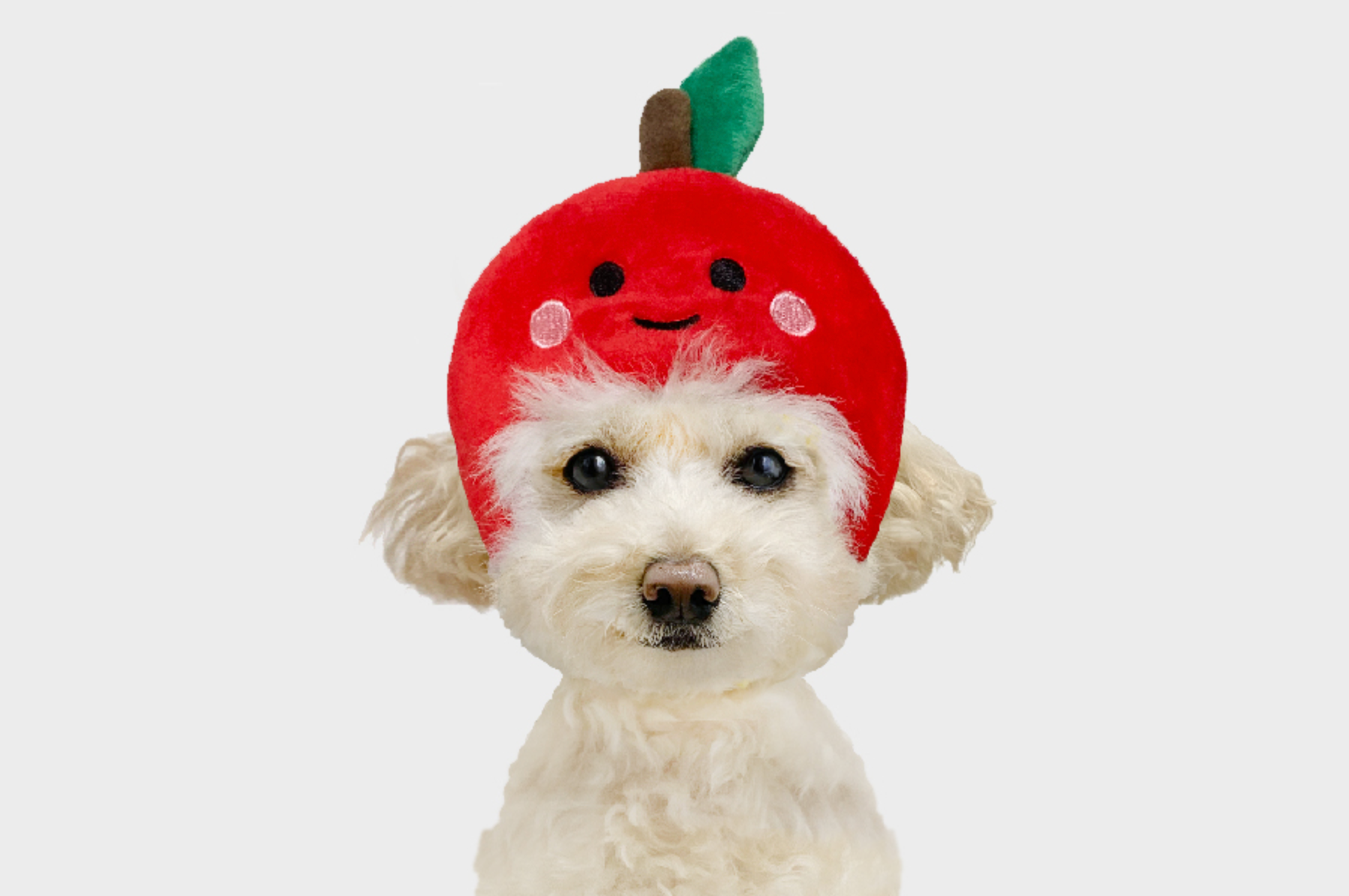 Cat Dog Straw Hat – Sugar Pet Shop